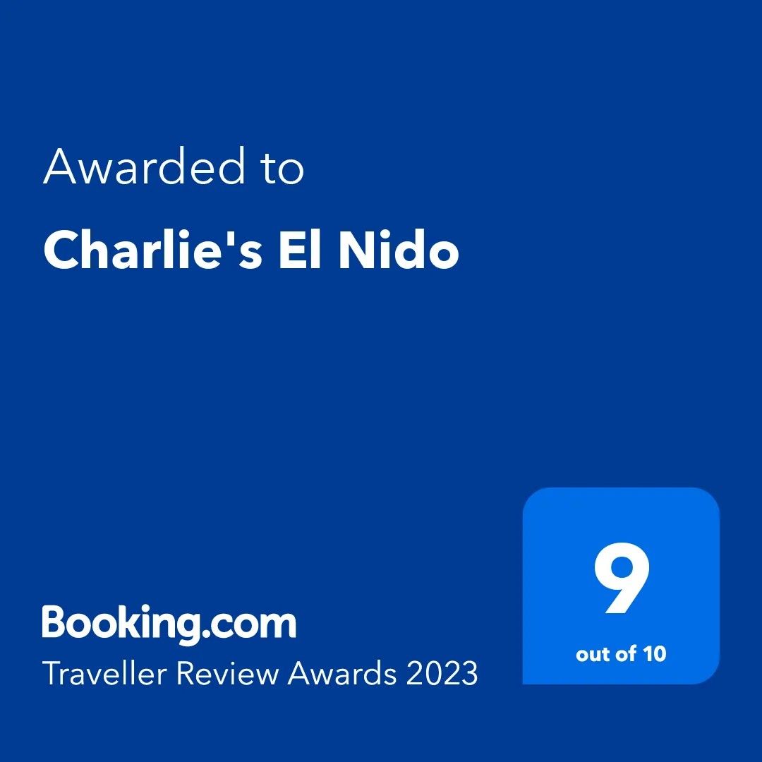 Traveller Review Award 2023