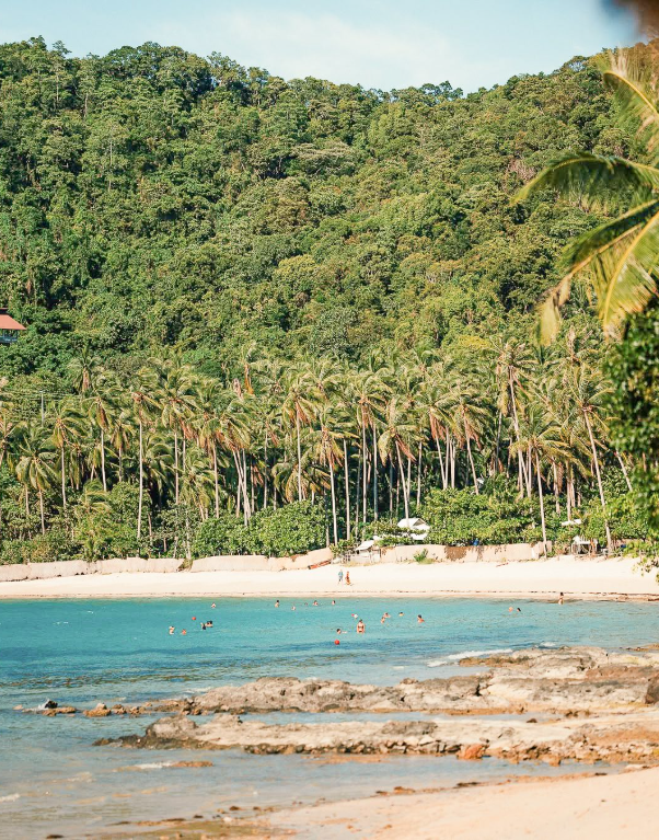 Tropical beach with turquoise water, palm trees, and lush hills at Charlie'