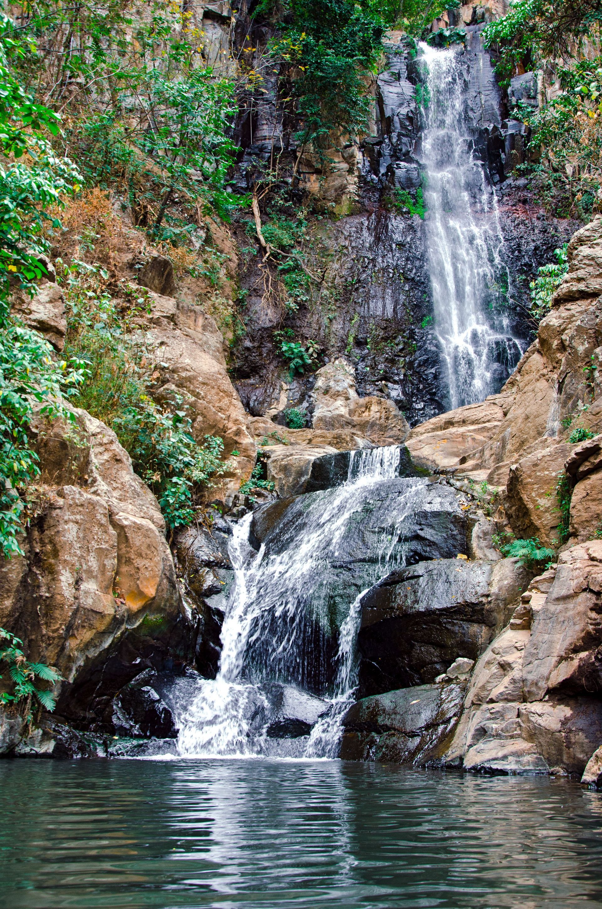 Small waterfall cascading over rocks into a calm pool surrounded by green foliage