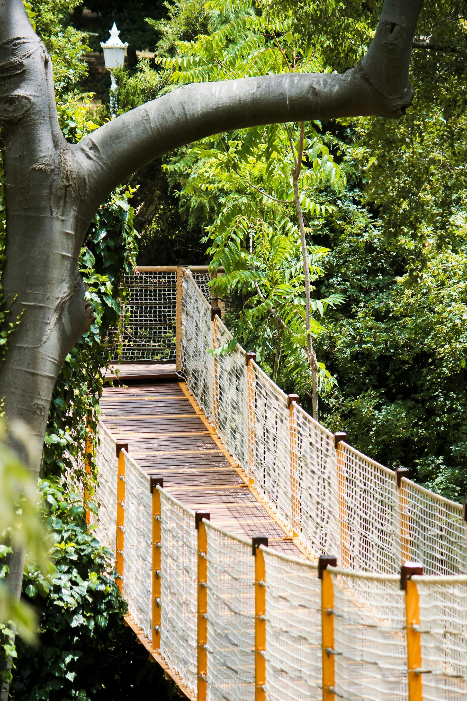 Wooden suspension bridge with rope railings in a lush green park.