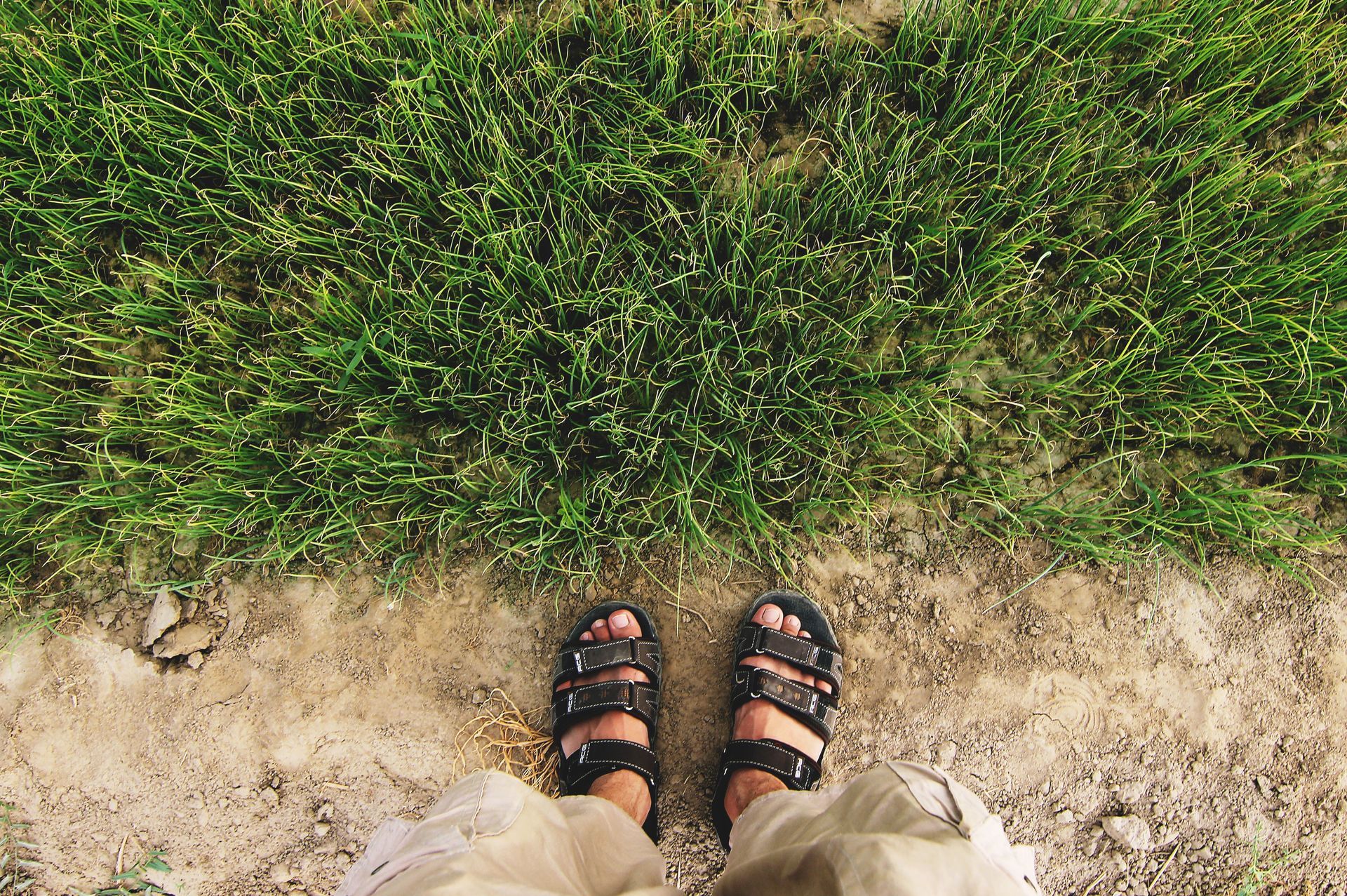Feet in black sandals standing on a dirt path beside green grass.