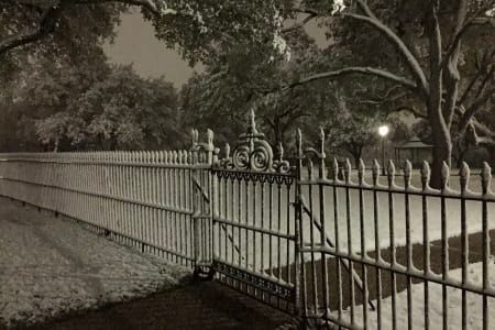 A black and white photo of a wrought iron fence in a park at night.