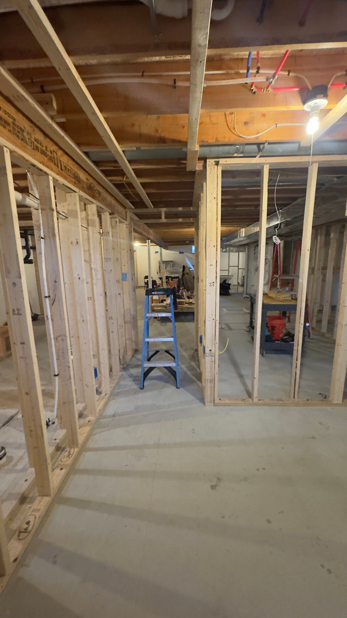 Basement under construction; wood framing walls, concrete floor, ladder, and exposed ceiling beams.