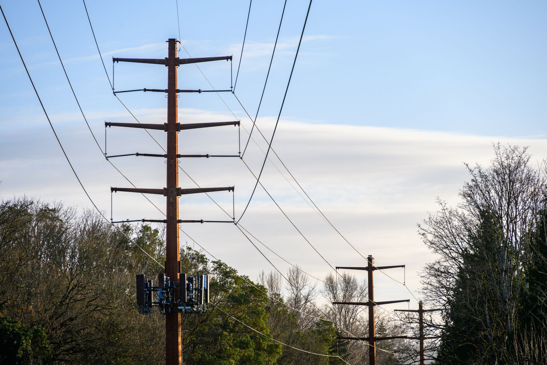Utility poles and power lines against a blue sky, with trees below