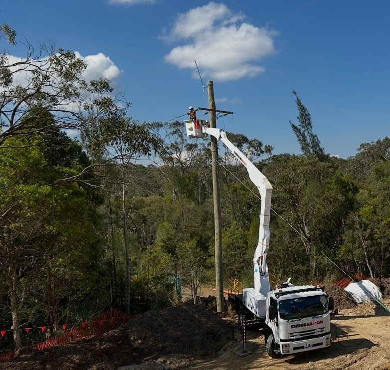 Utility truck with boom lift trimming a roadside tree in a wooded area