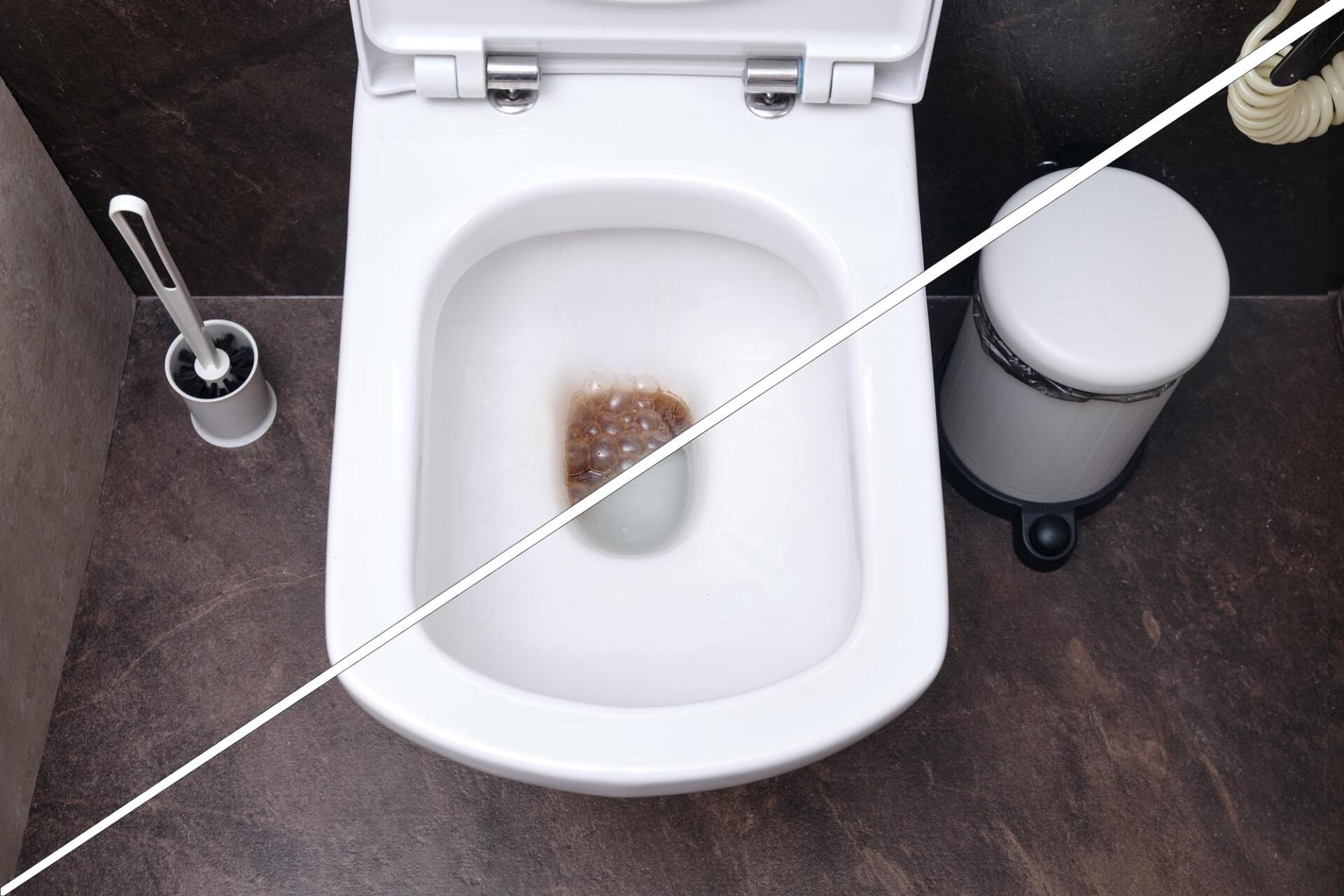 unclog toilets