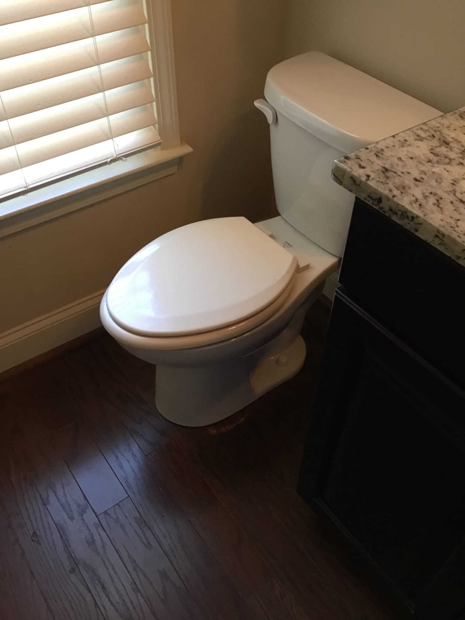 toilet replacing
