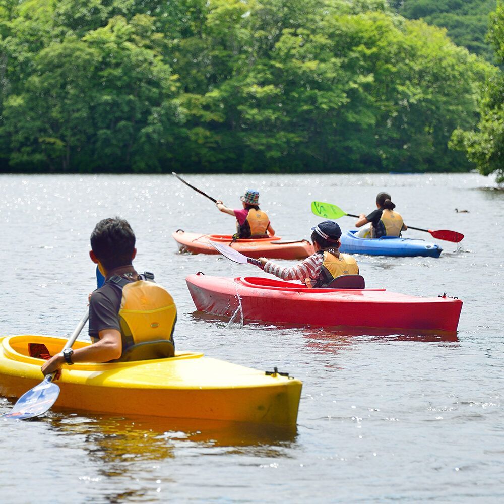 Four kayakers paddling on a calm lake, with colorful kayaks and a green forested shoreline.