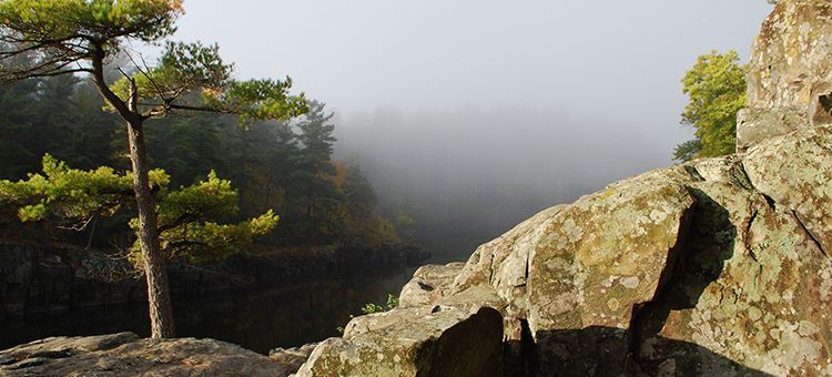 Foggy mountain overlook with pine trees and large sunlit rocks in the foreground