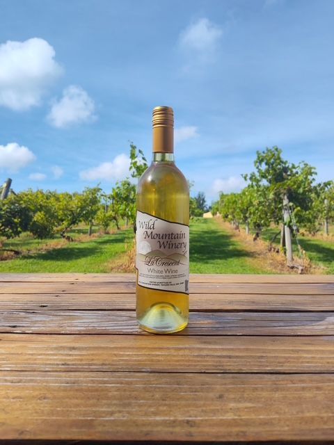 Wine bottle on a wooden table in a sunny vineyard under a blue sky