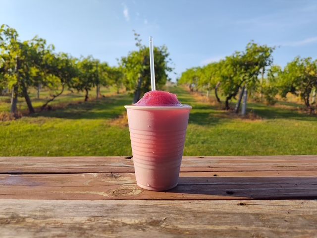 Pink smoothie in a cup on a wooden table, with a orchard and blue sky in the background
