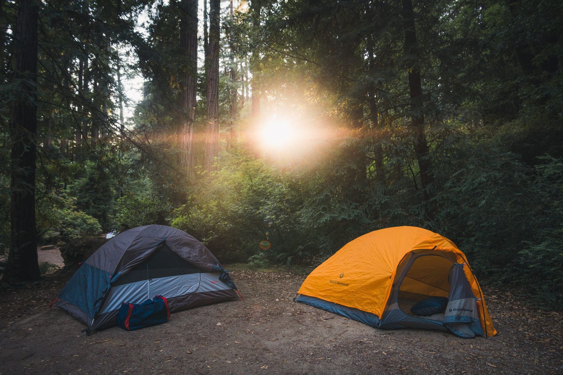 Two tents, one blue and one orange, in a forest at sunset