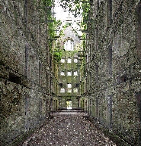Ruined abbey interior with tall, crumbling walls and arched windows. Sunlight shines through the open roof.