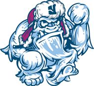 Yeti Garage Door Body Logo