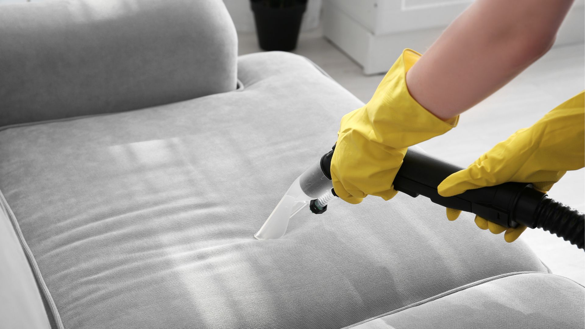 Carpet Cleaning Plymouth, MI 7346997166