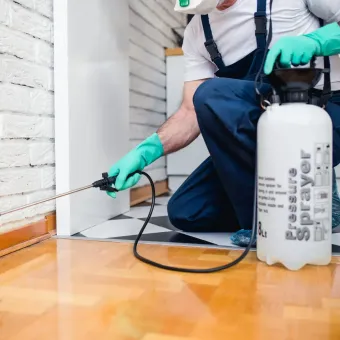 Pest Control in Athens, GA