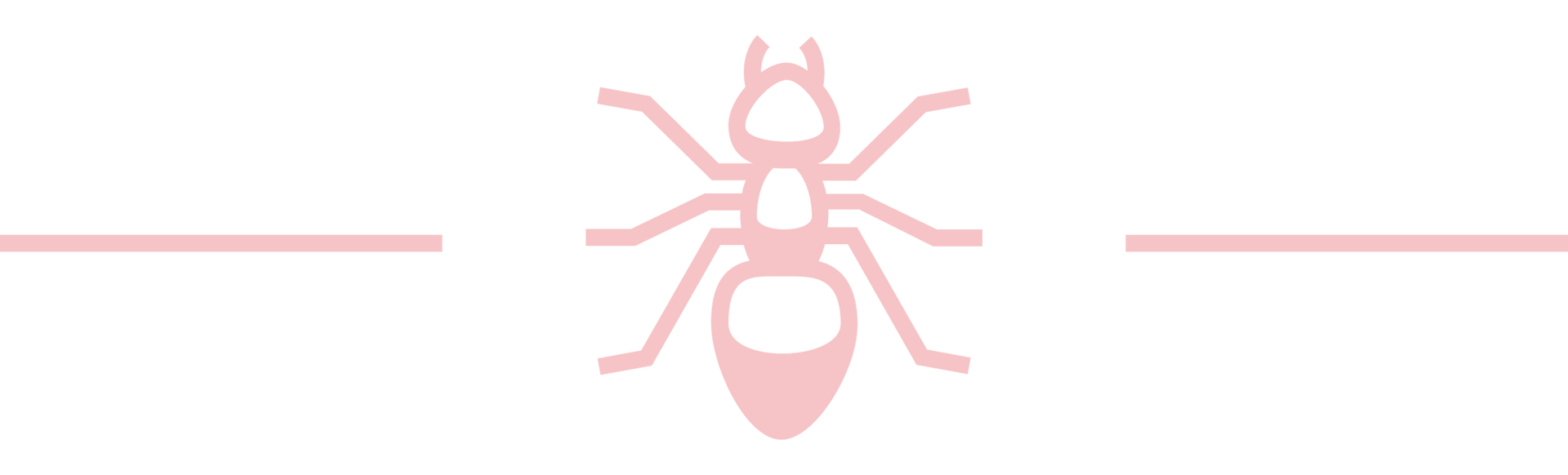 Pest Control in Athens, GA