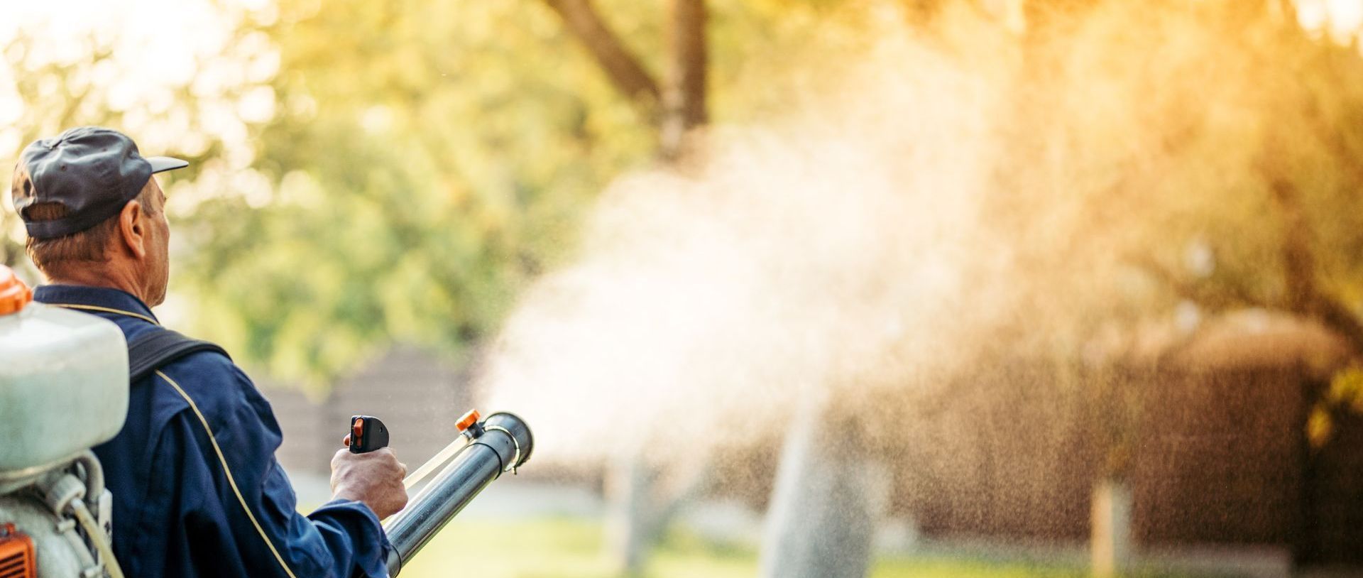 Pest Control in Athens, GA