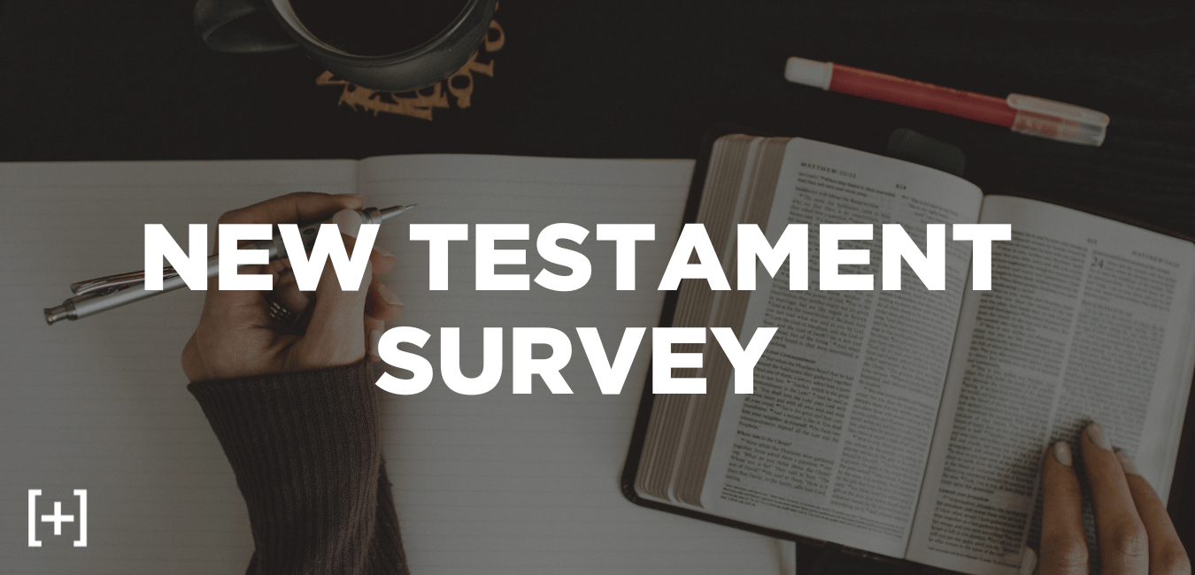 new testament survey