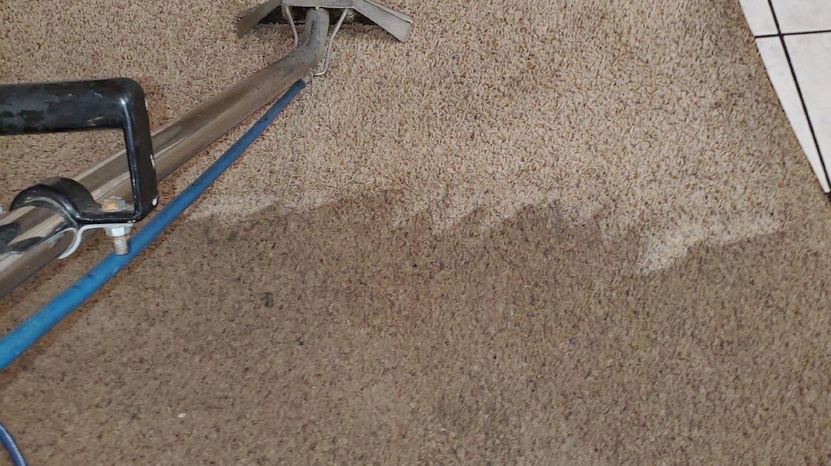A vacuum cleaner is cleaning a carpet in a room.