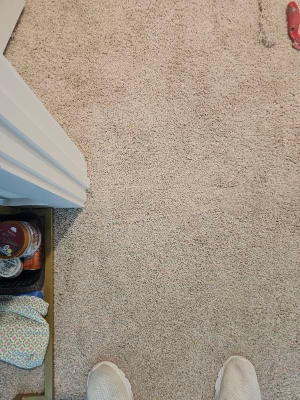 Beige carpeted floor, white door frame, and items stored in a shelf in the corner.
