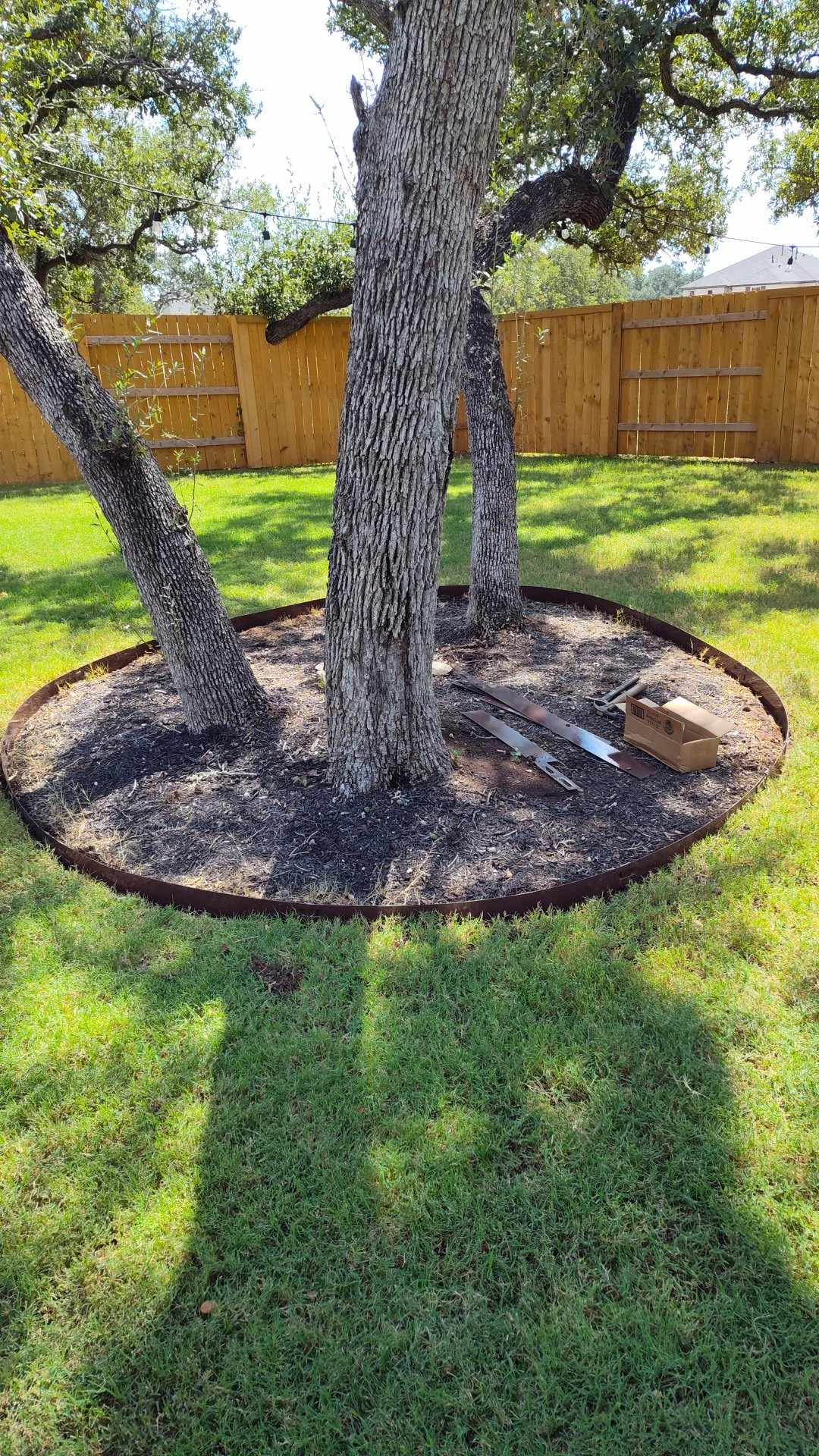Tree trunk surrounded by a circular mulched area, bordered by dark edging, in a grassy backyard.