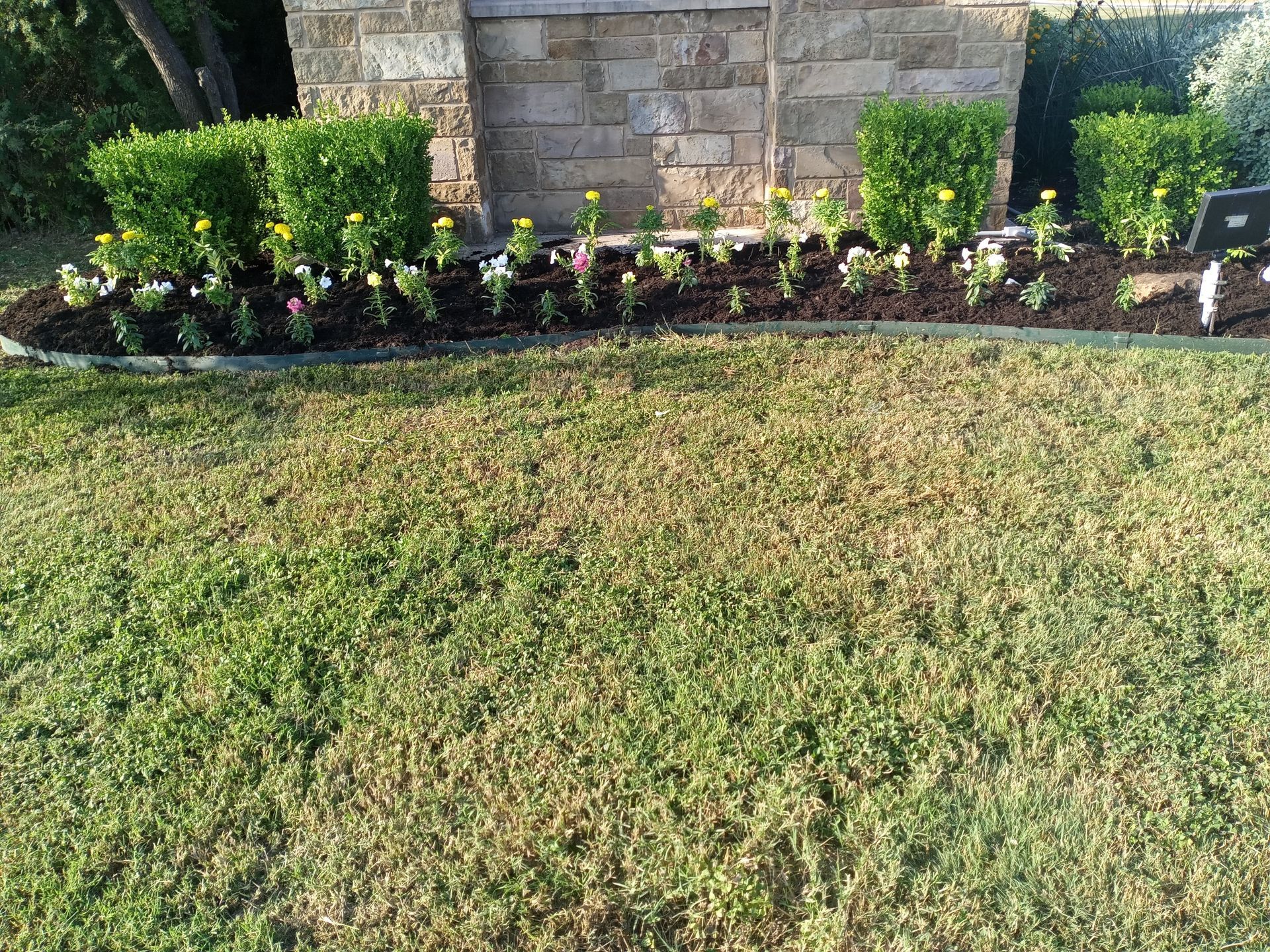 Flower bed with green bushes and colorful flowers against a brick wall, bordered by lawn.