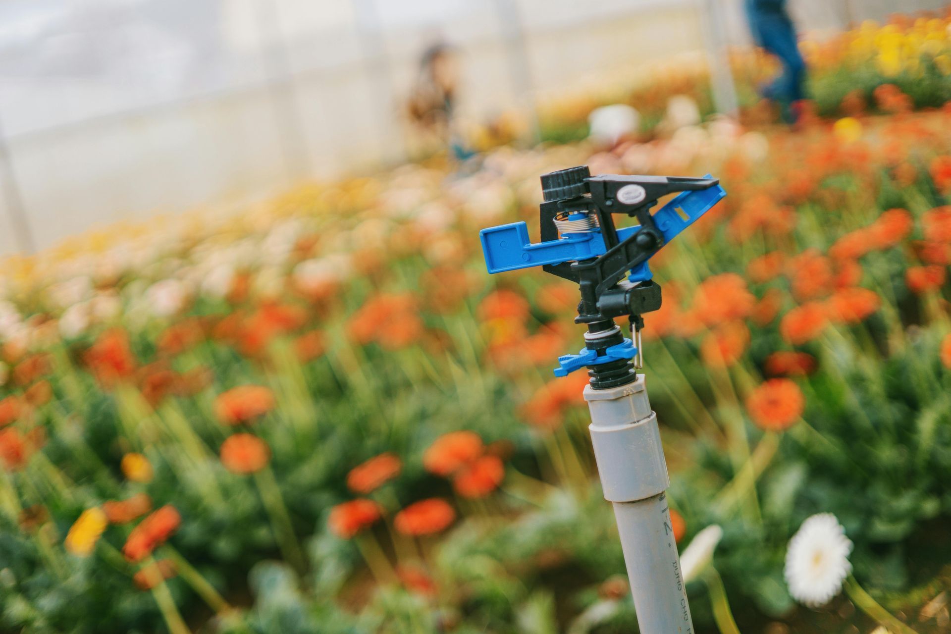 An irrigation system installed in a property in Kyle, TX