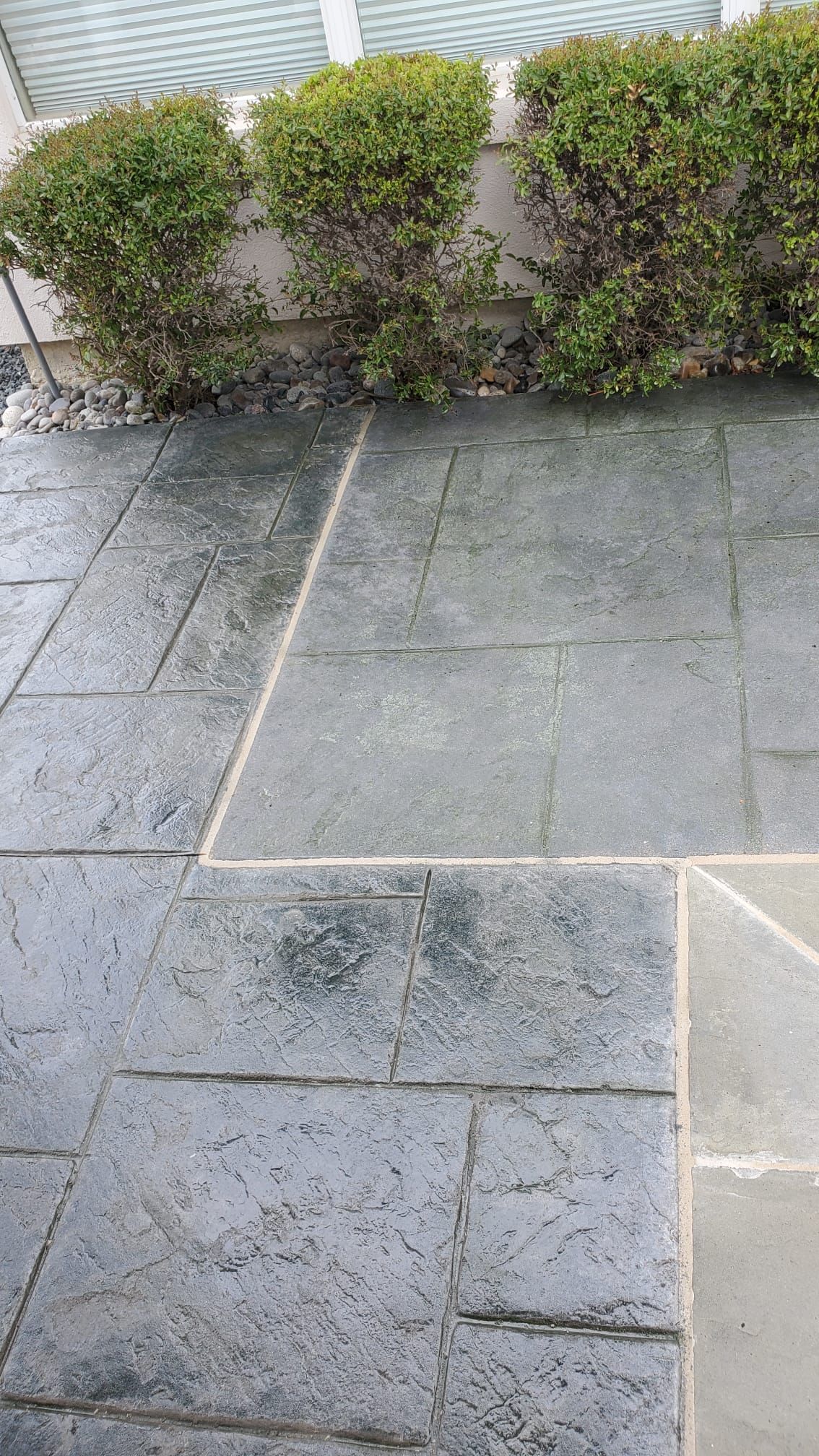 Wet stone patio with hedge shrubs along the edge and a dark water stain across the tiles.