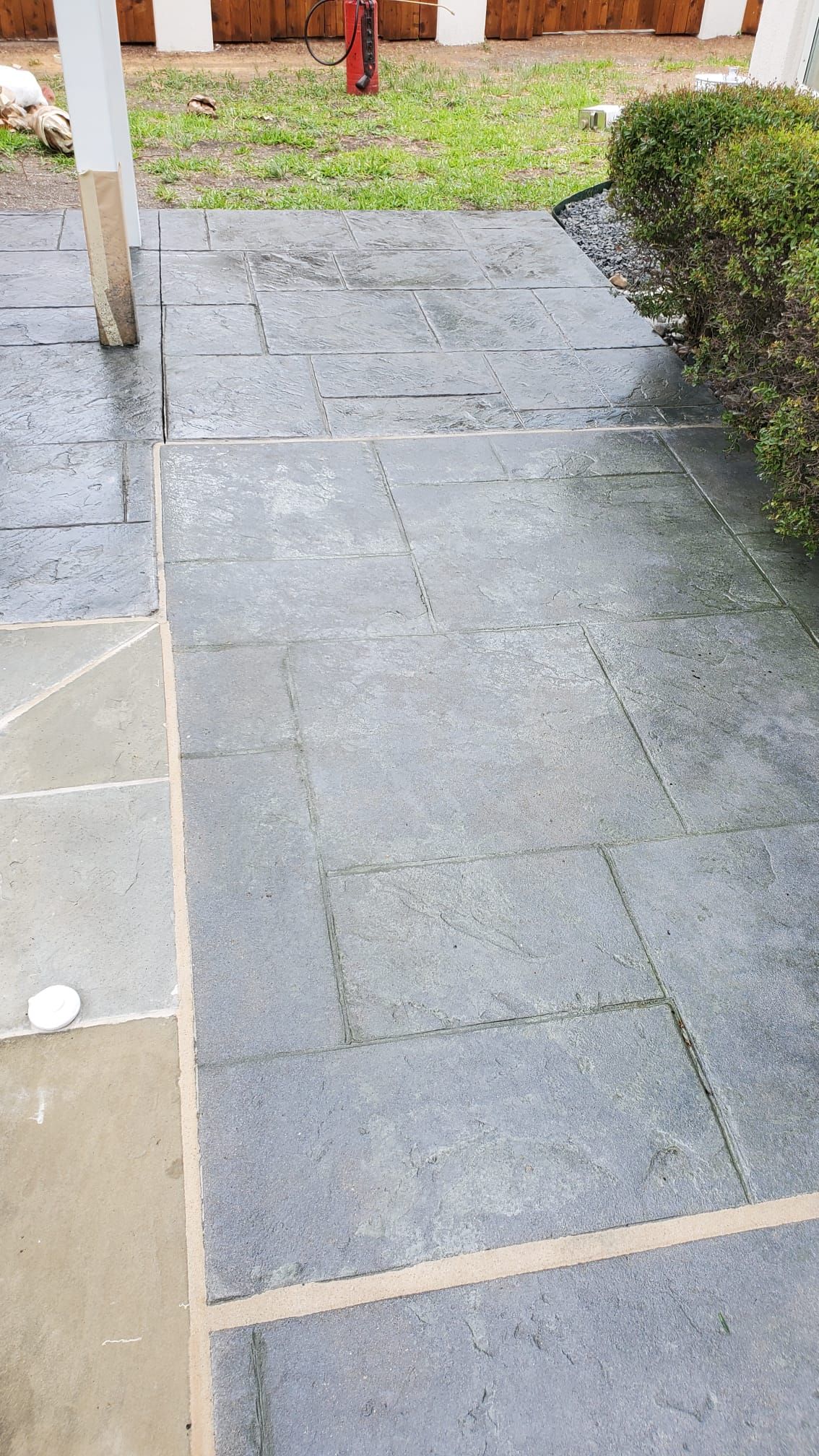 Stone walkway leading to a grassy yard, bordered by a hedge and white posts