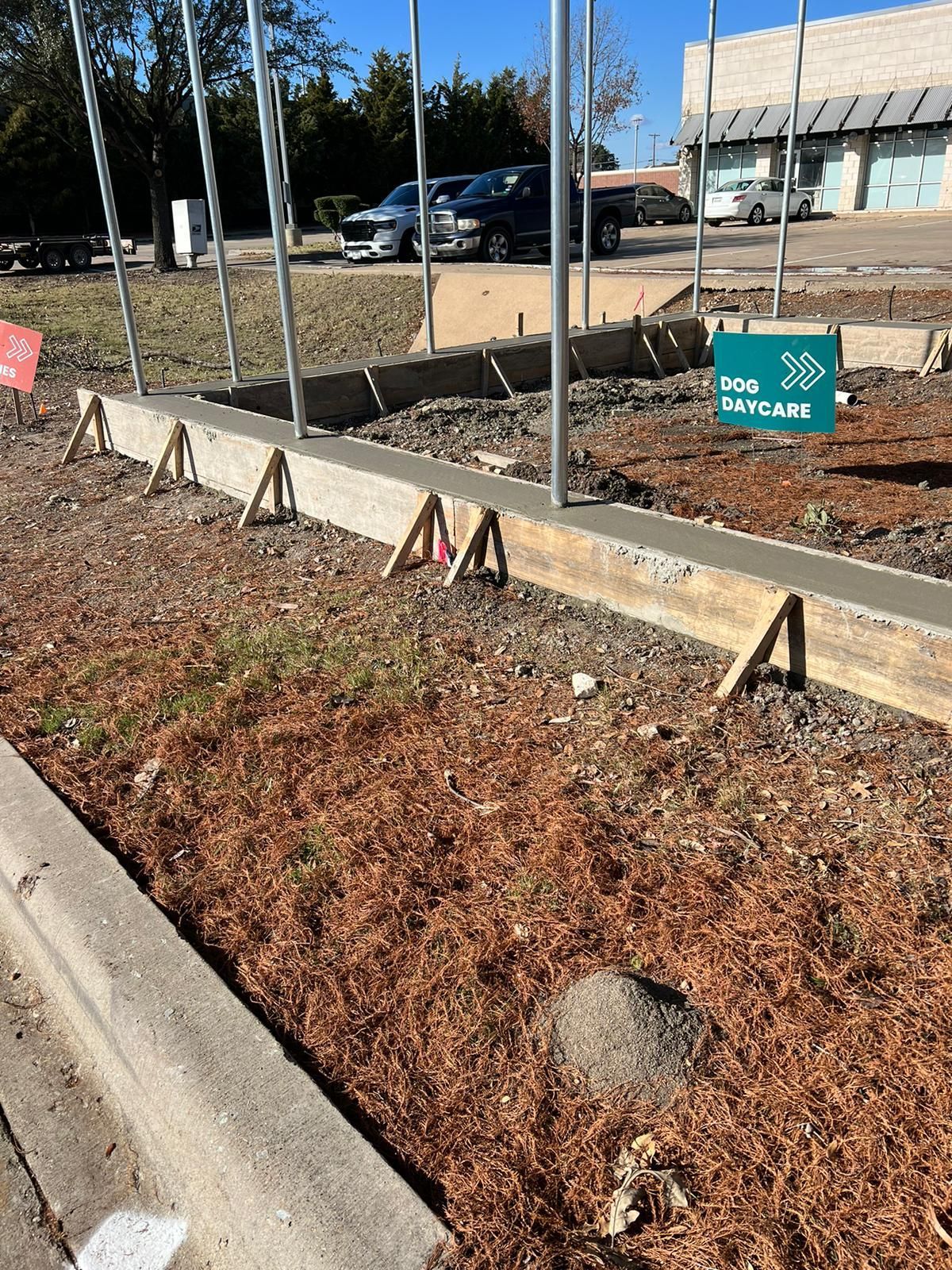 Roadside landscaping with concrete curb, brown mulch, stakes, and a teal sign in a parking lot.