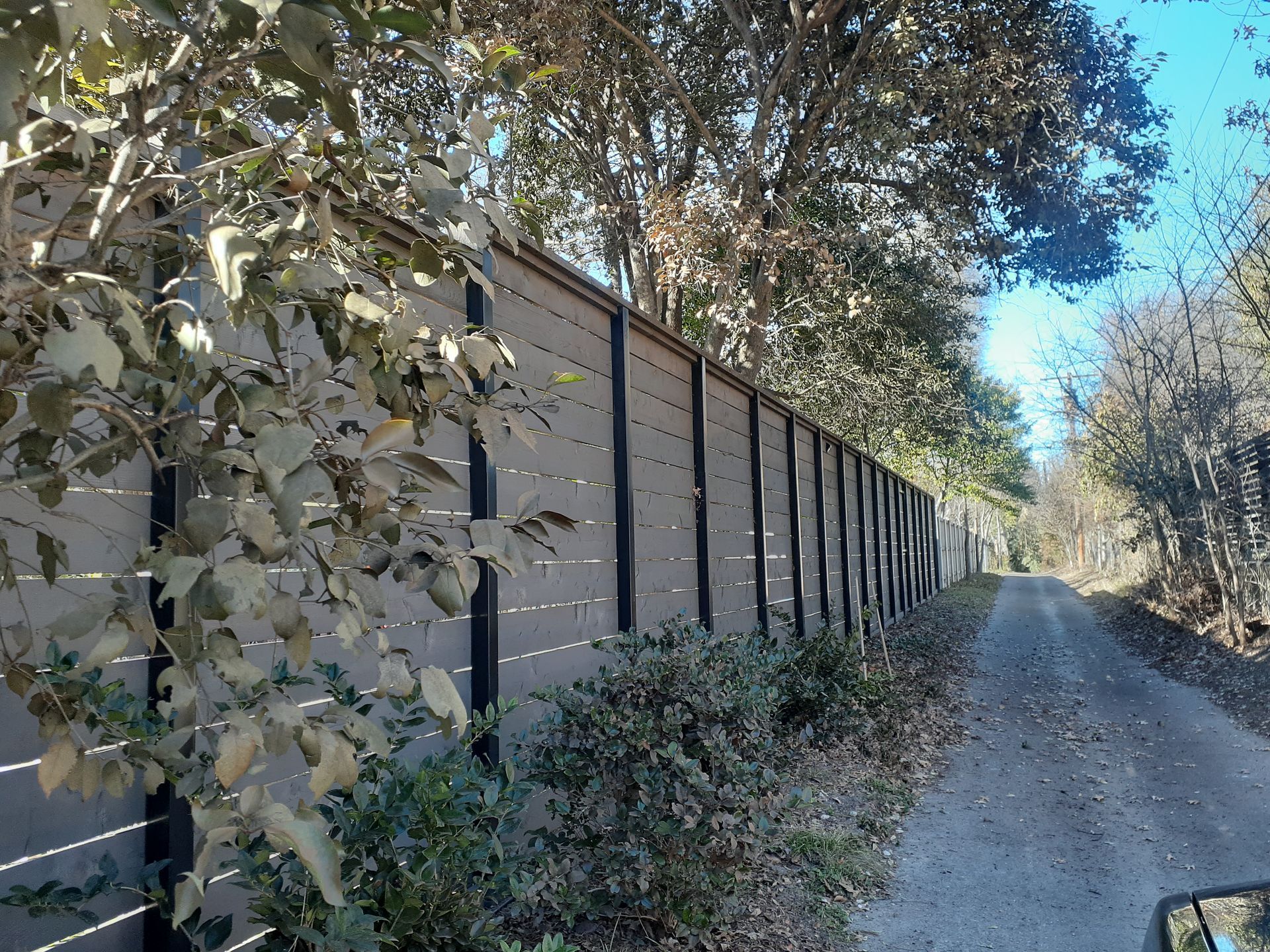 Tree-lined gravel path beside a tall wooden fence in bright daylight
