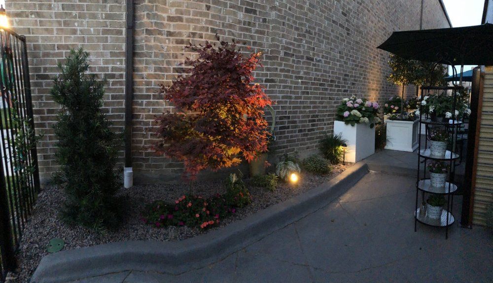 Brick courtyard path beside a wall, lit by garden lamps and lined with potted plants and a red shrub.