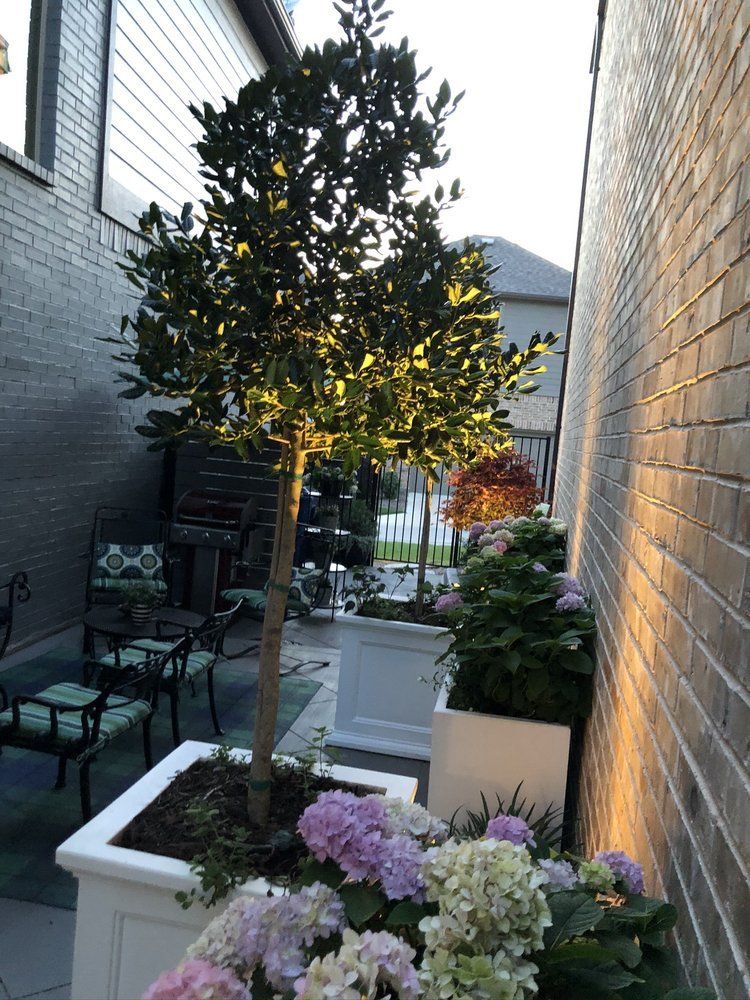 Narrow courtyard with potted flowers, a small tree, and warm wall lights between two buildings