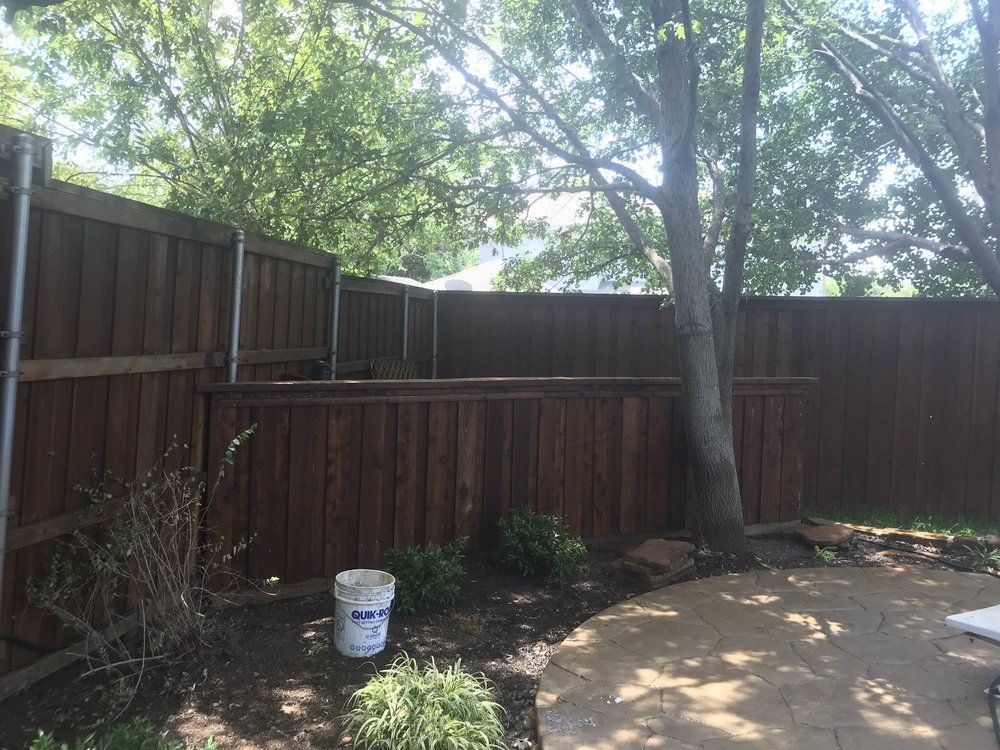 Backyard corner with wooden fence, trees, dirt ground, and a white bucket near the fence.