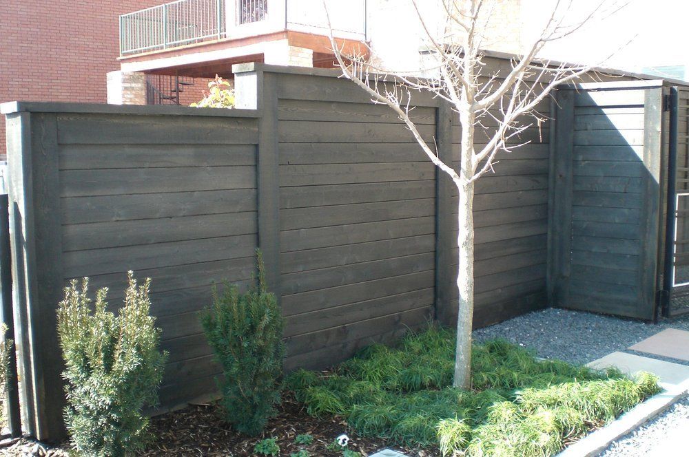 Dark wooden fence around a small landscaped yard with a leafless tree and shrubs