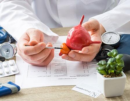 ATENCIÓN INTEGRAL EN UROLOGÍA Y NEFROLOGÍA - especialista en urología