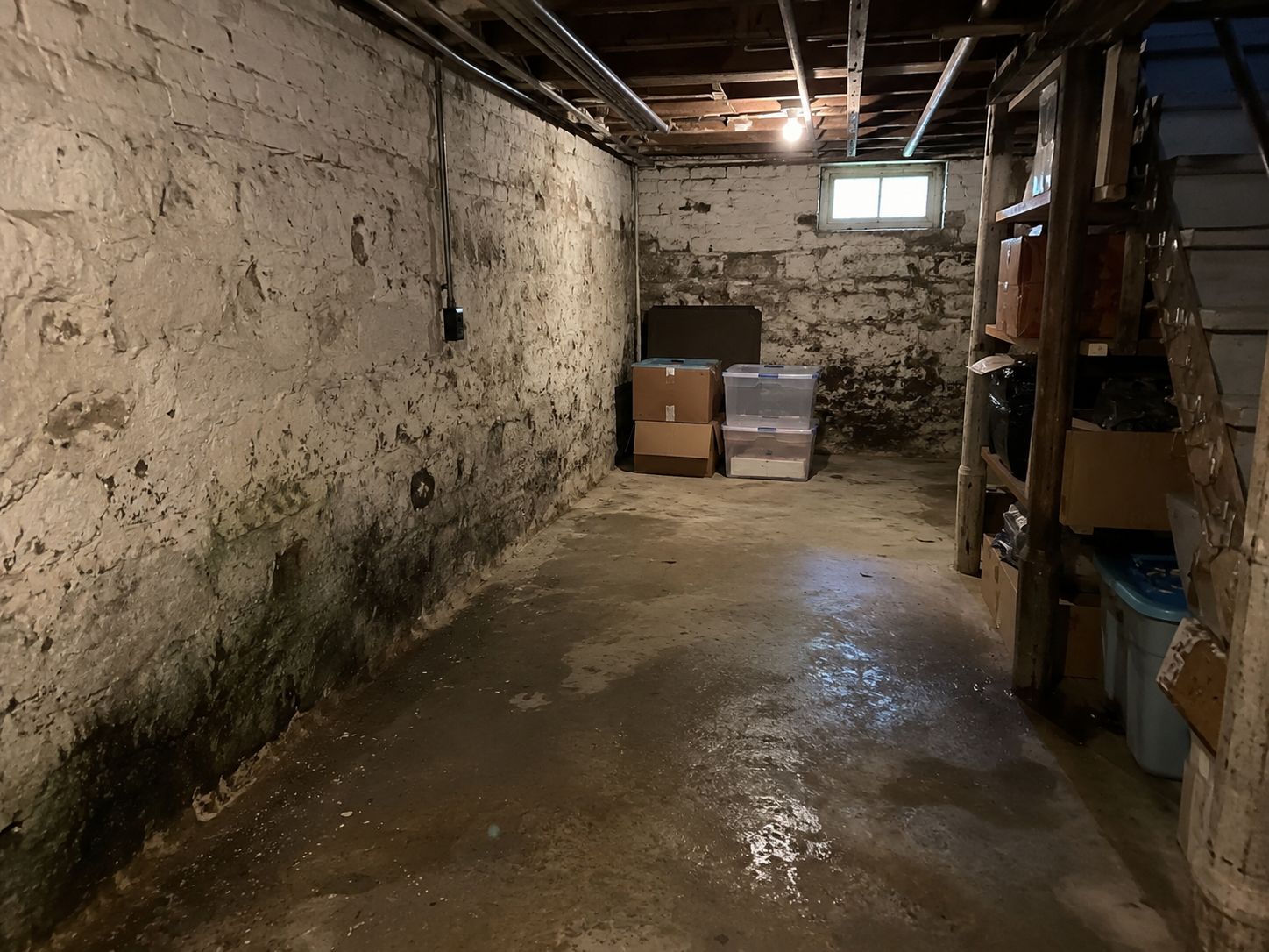 Damp basement storage room with white walls, wet concrete floor, and stacked boxes at the far end