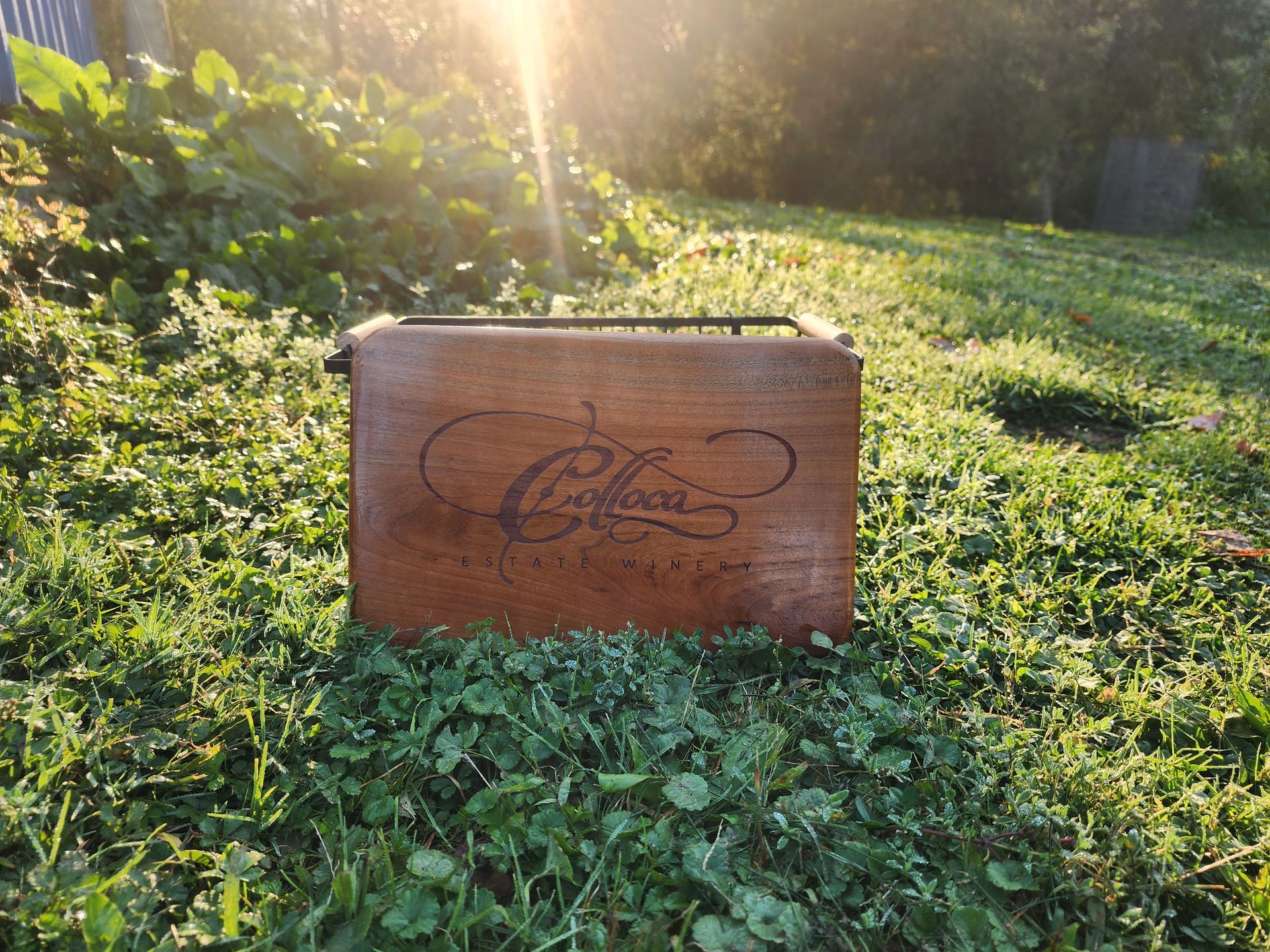 Wooden box with a logo sitting in sunlit grass outdoors