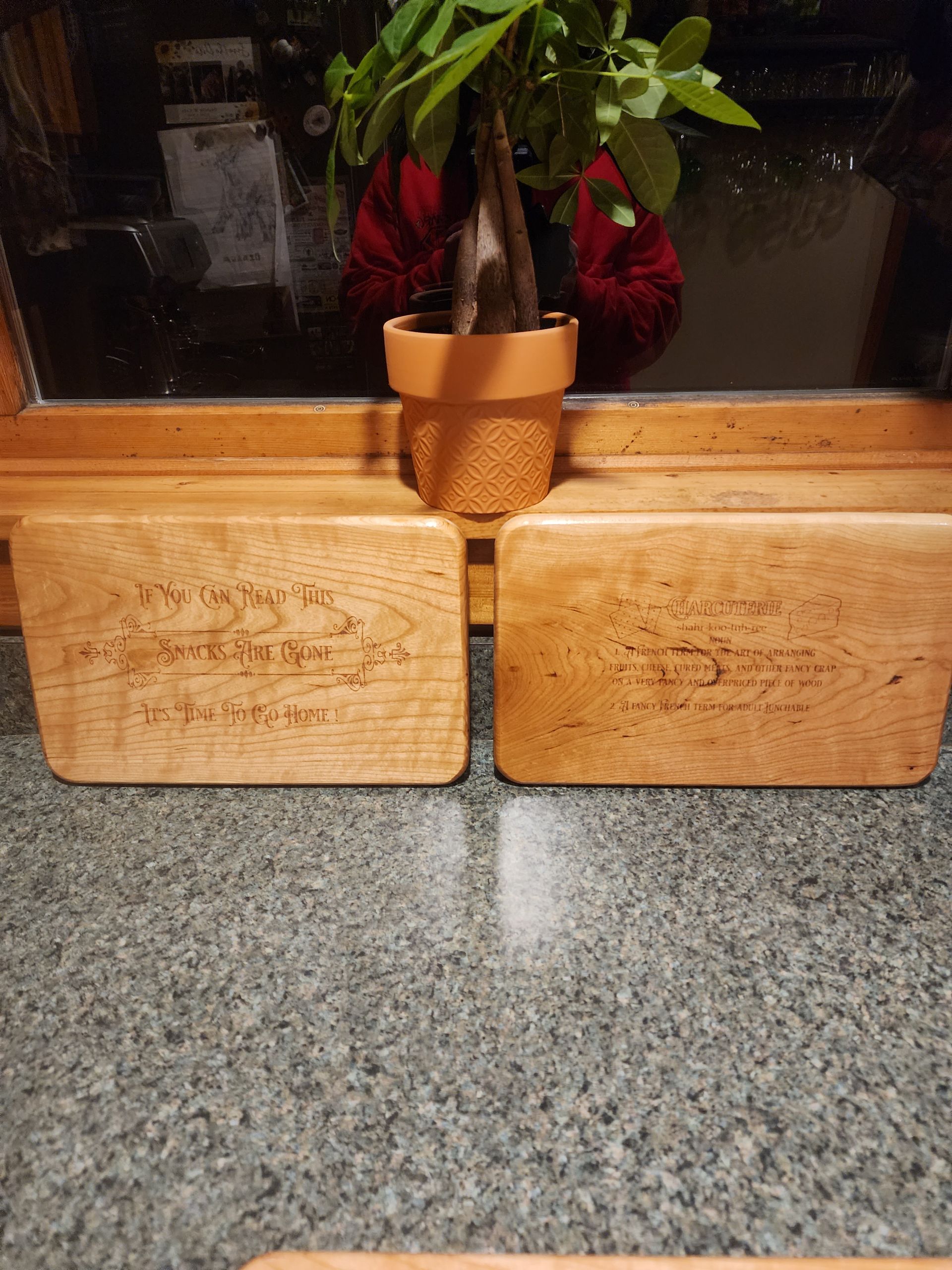 Small potted plant on a windowsill above two wooden blocks on a speckled countertop