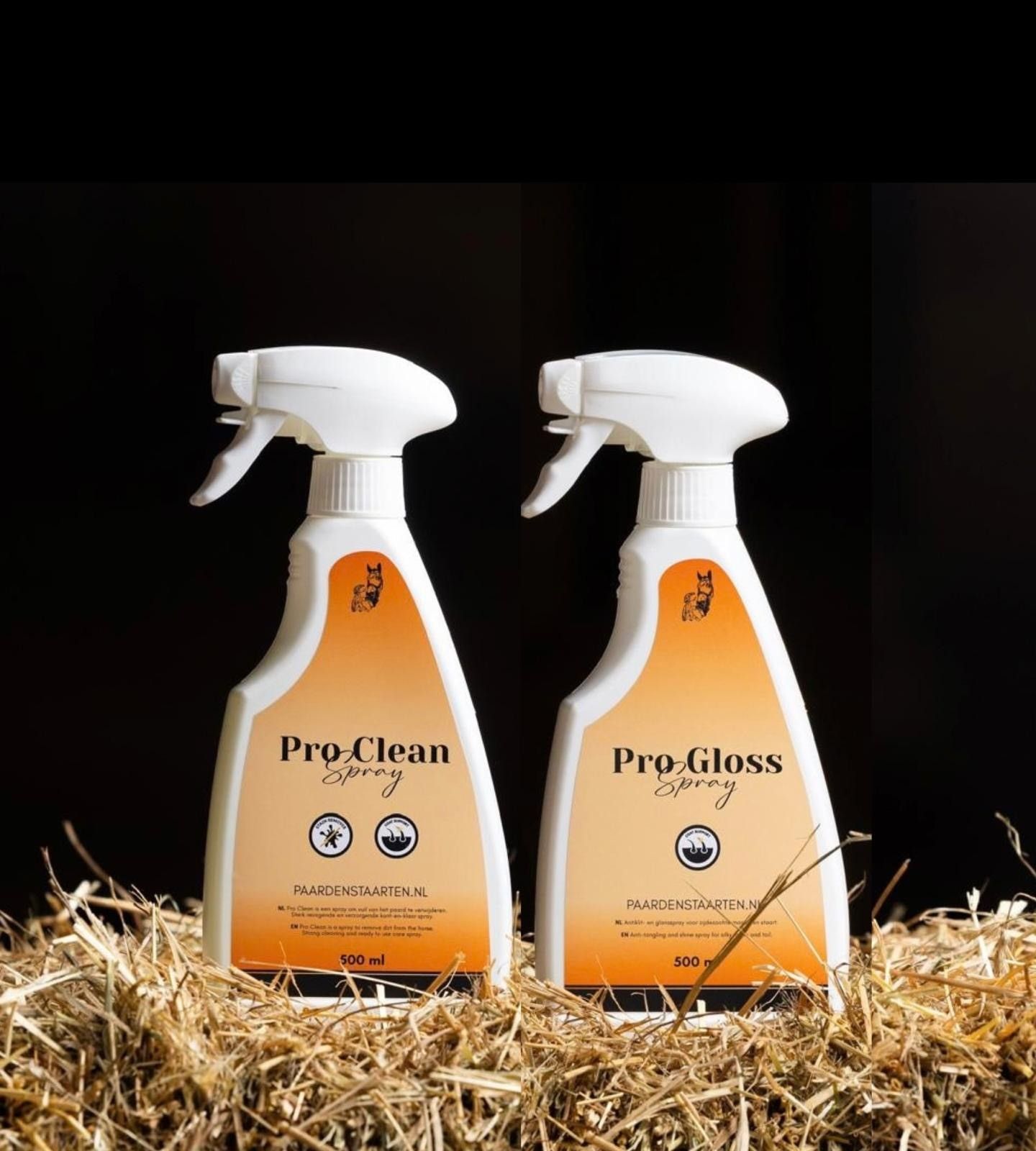 Gloss & Clean duo - Pro Gloss Spray + Pro Clean Spray