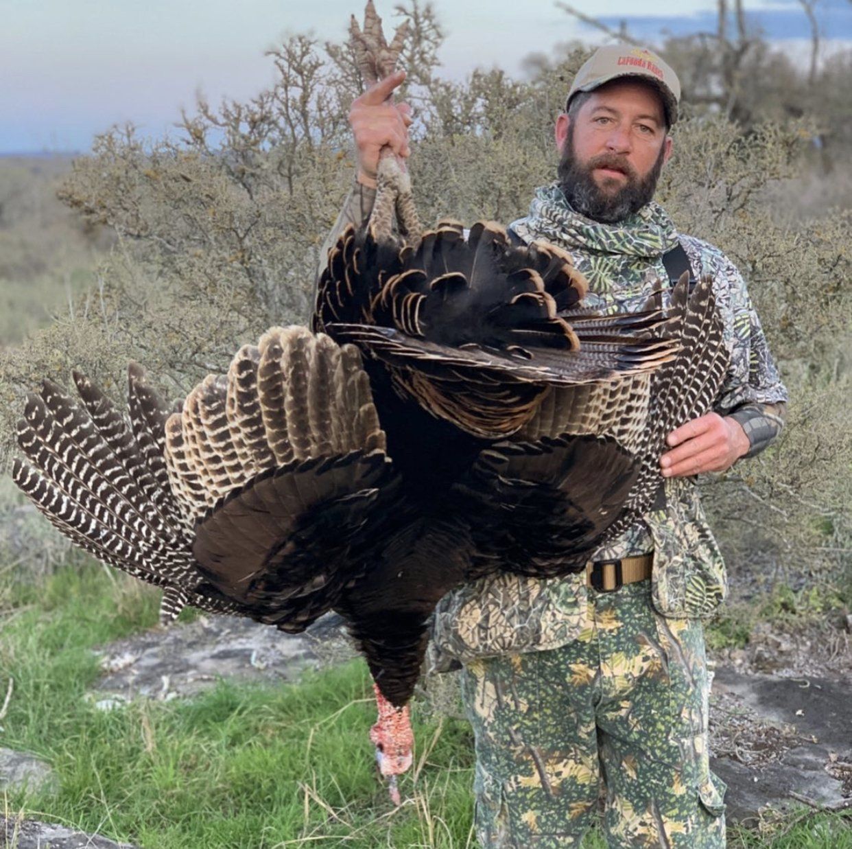 Hunter in camouflage holds a wild turkey with open wings. Outdoor setting, overcast.