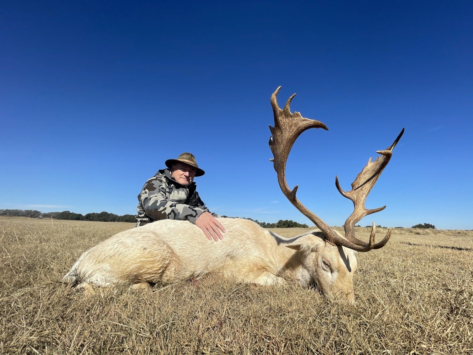 Man in camo with a white deer in a field under a blue sky.