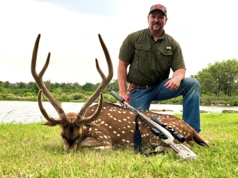 Man kneels beside a spotted deer he has hunted, rifle rests next to deer. Green grass, blue sky.