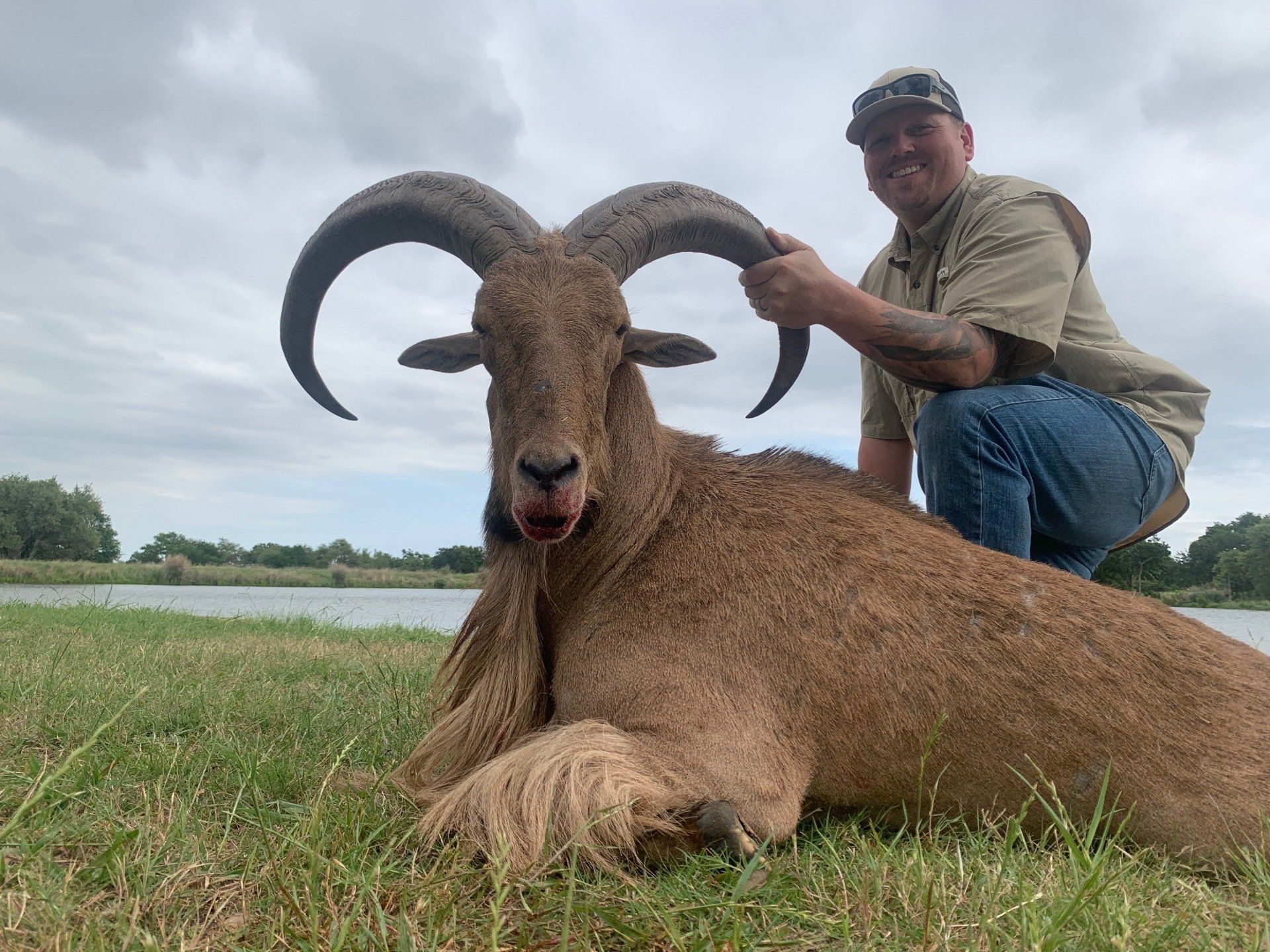 Man kneeling beside a dead Barbary sheep, holding its horns. Outdoors, beside a body of water.