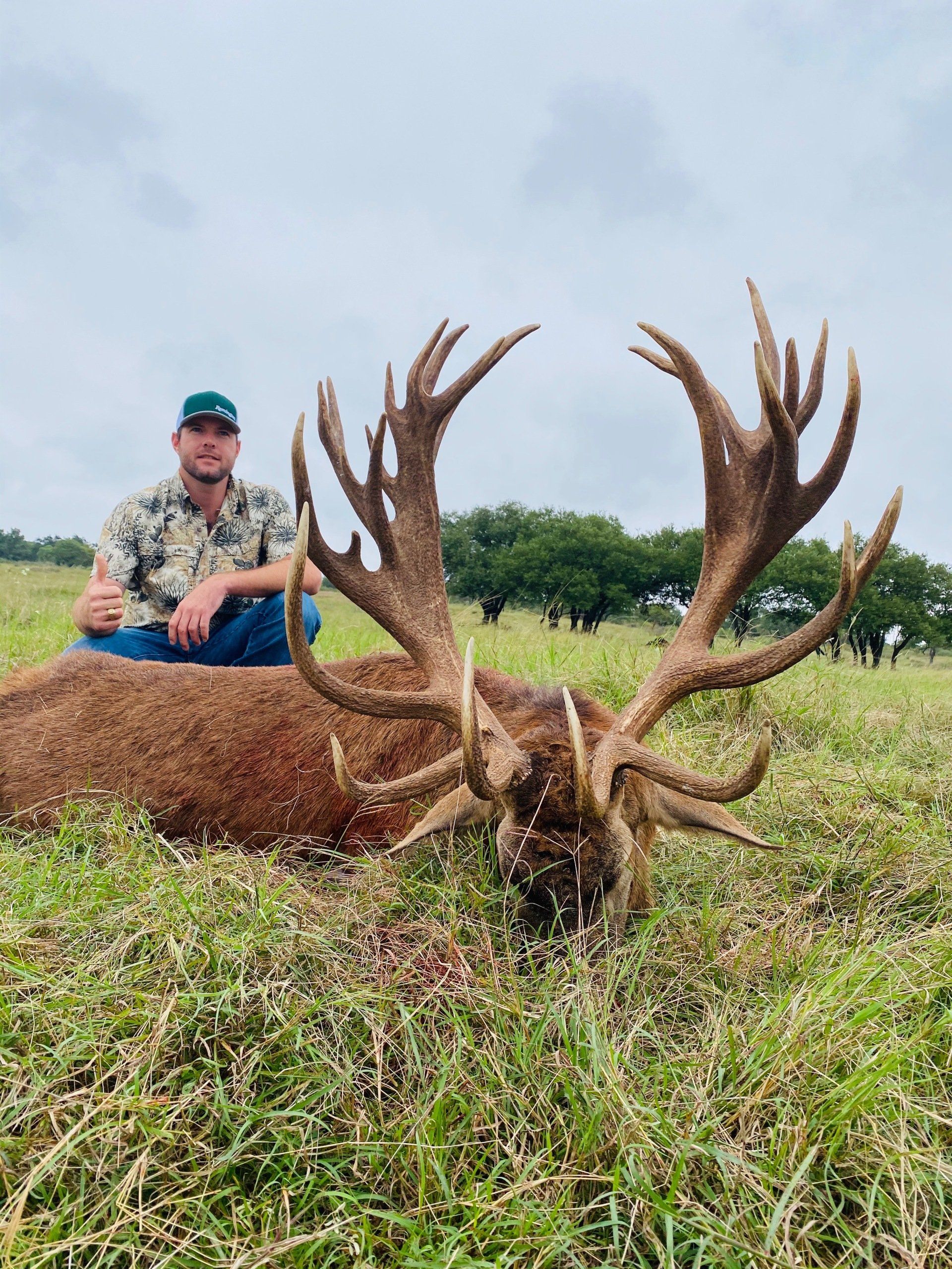Man seated next to a large dead deer with huge antlers in a grassy field.