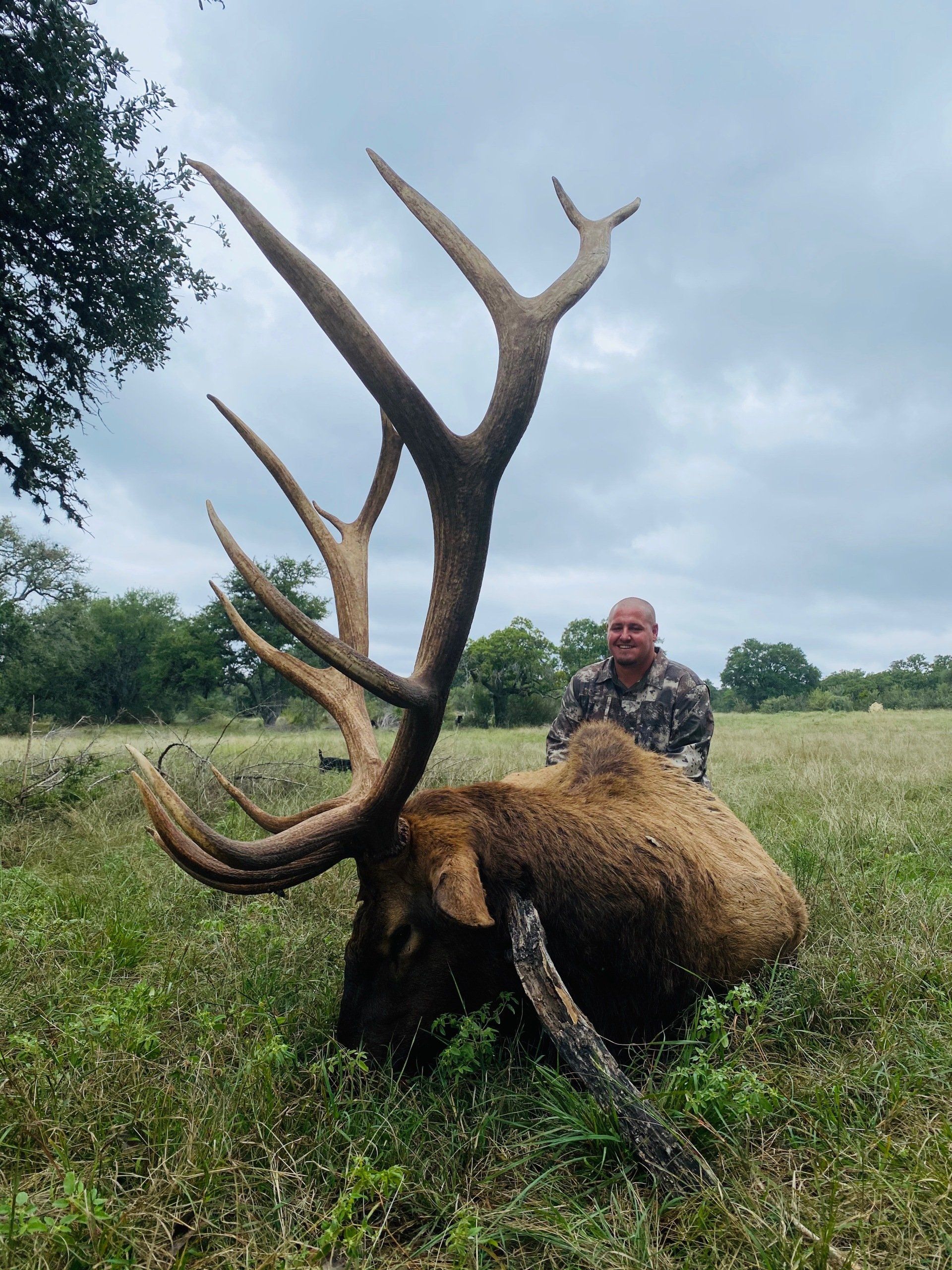 Man posing with a large bull elk in a grassy field. The elk has large antlers; the man is smiling.