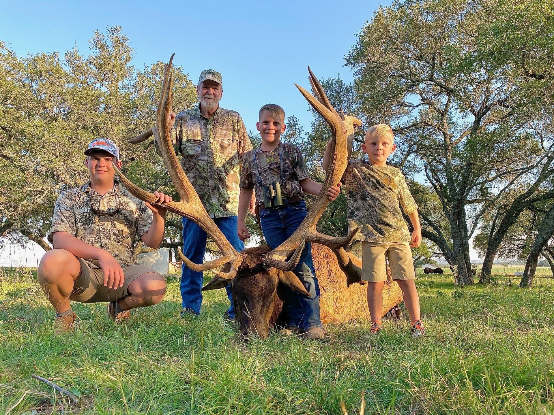 Four hunters with a large elk in a grassy field.  Two boys, two men,  and the elk.
