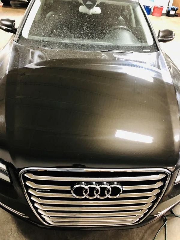 Black Audi SUV front view in a garage, with hood and grille visible