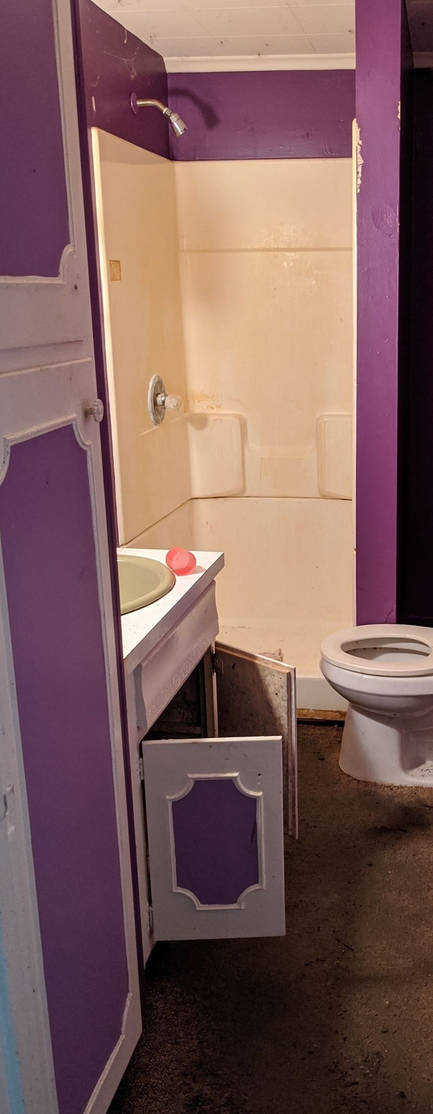 Small bathroom with purple and beige walls, toilet, sink, and an open cabinet or stall door.